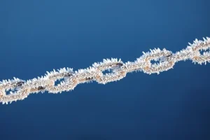 chain-6881337_1280